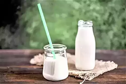 Lait Fermenté ou Ribot (buttermilk)