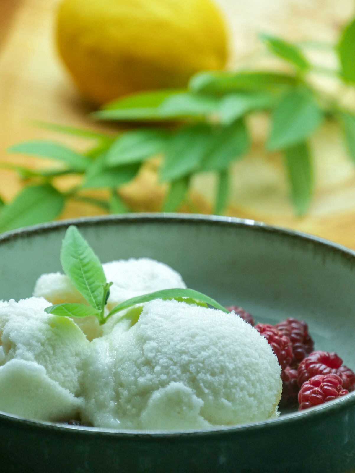 Sorbet à la verveine citronnée