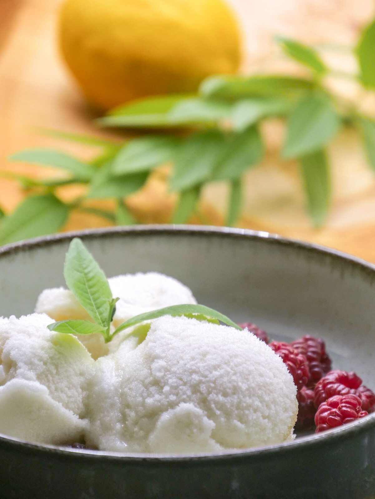 Sorbet à la verveine citronnée