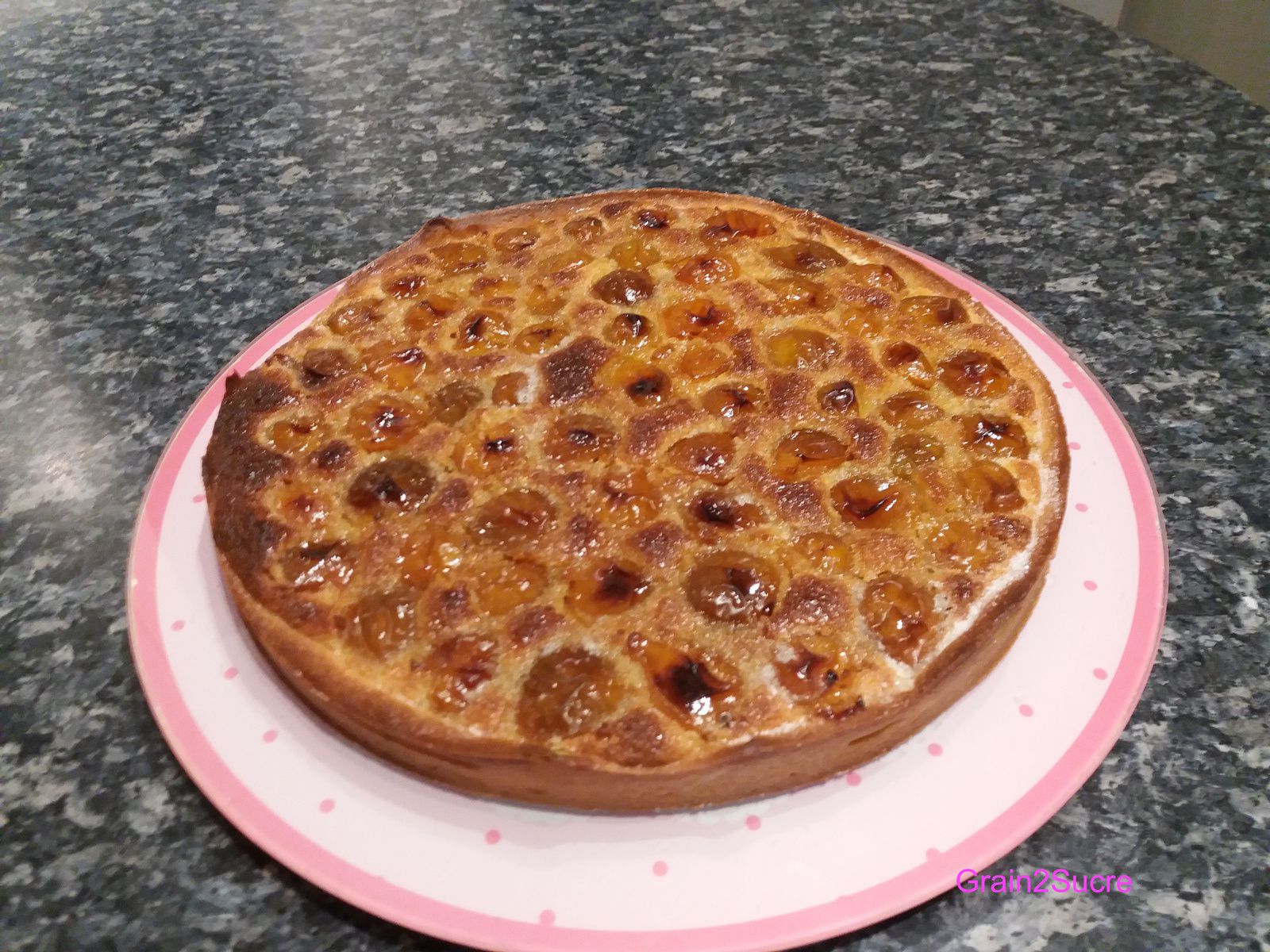 Tarte Aux Mirabelles