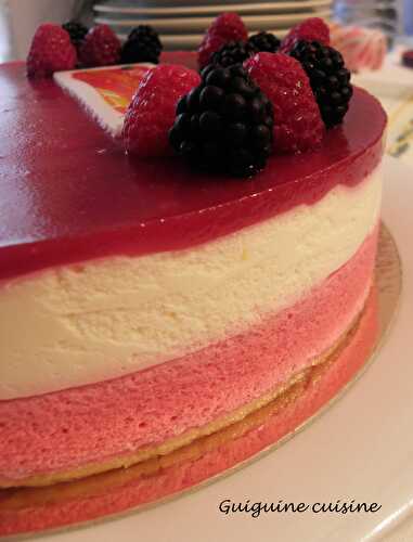 Entremet citron – framboise