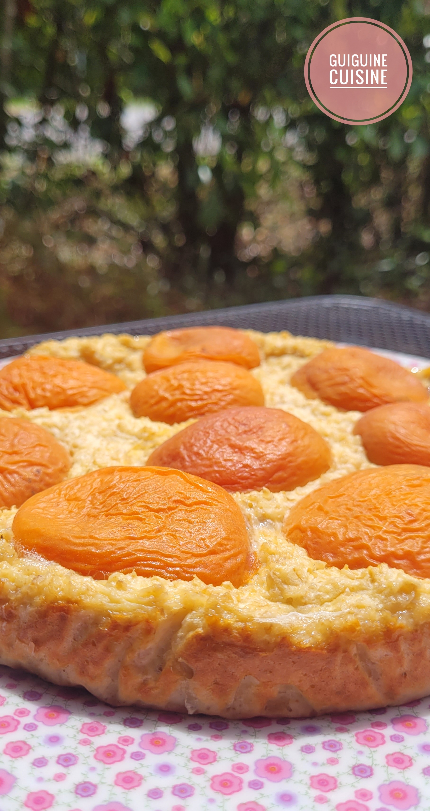 Moelleux avoine et abricots