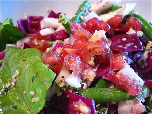 Salade croquante de fenouil et chou rouge et sa sauce au yaourt et son d’avoine