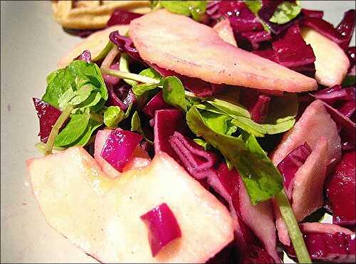 Salade de pommes et chou rouge