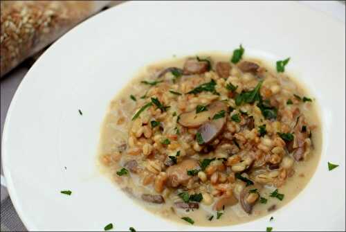 Risotto de céréales aux champignons, mozzarella et parmesan