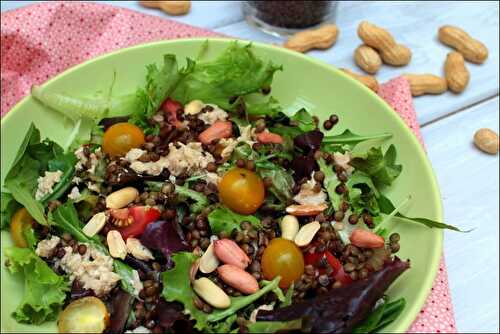 Salade de thon aux lentilles vertes et cacahuètes