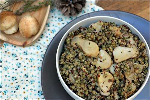 Salade de lentilles et quinoa aux cèpes