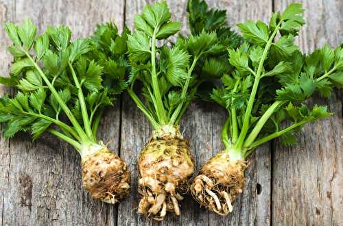 3 légumes anciens incontournables