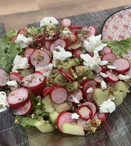 Salade de printemps : radis, concombre, feta