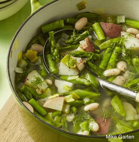 Soupe Minestrone printanière