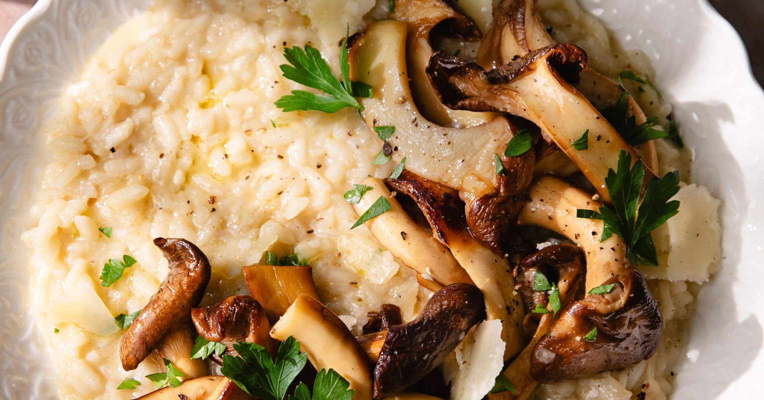 Le risotto aux pleurotes