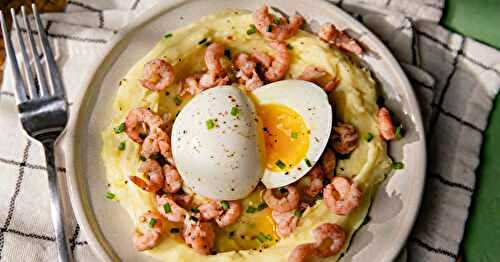 Le smeus authentique d'Ostende