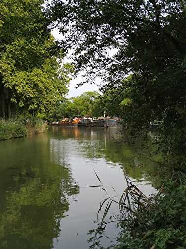 Balade de long du canal du Midi Toulouse