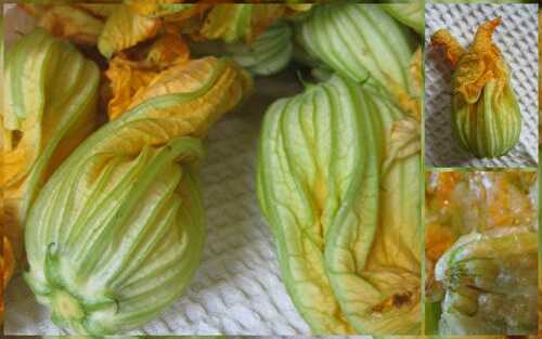 Beignets de fleurs de courgettes