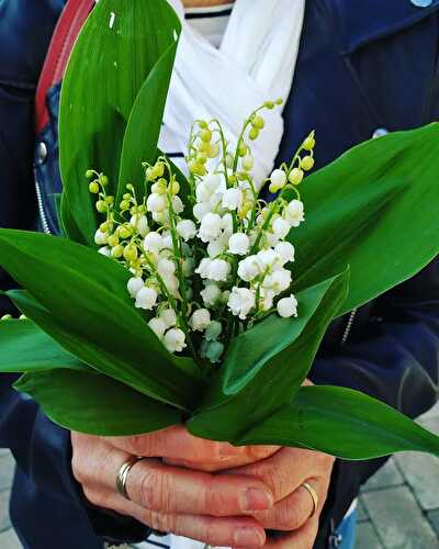 Bon 1er Mai !