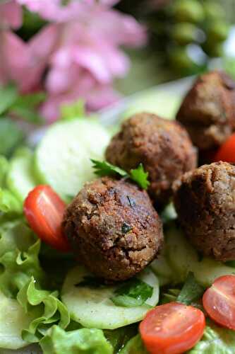 Boulettes de lentilles sansoeuf végétarien Daucy