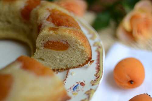 Gâteau aux abricots au sirop sans lactose