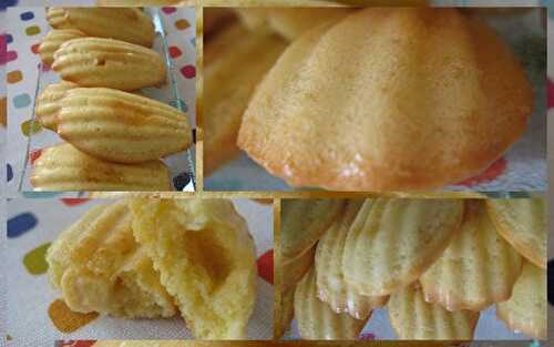 Les madeleines au chocolat blanc d'Eglantine