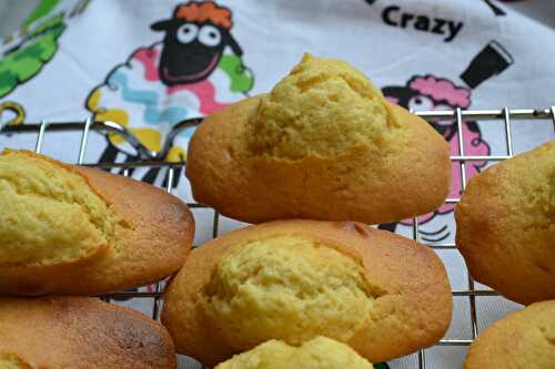 Madeleines à la farine de Kamut et à l'eau de fleur d'oranger