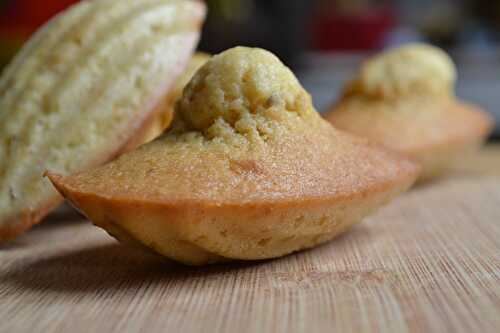 Madeleines à la poudre de noisette