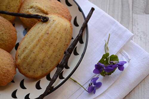 Madeleines à la vanille et aux amandes