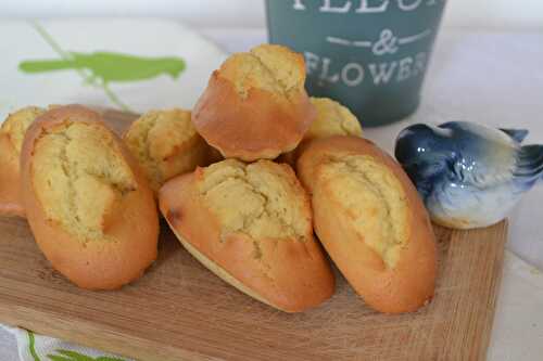 Madeleines au beurre de coco