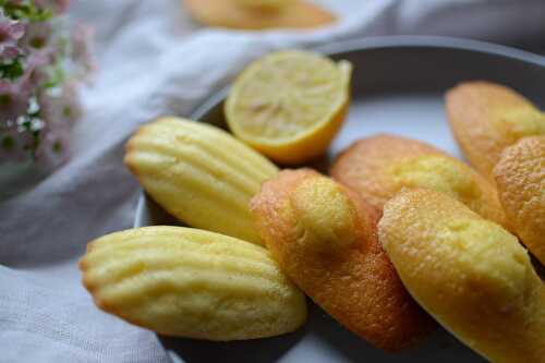 Madeleines au citron et son glaçage