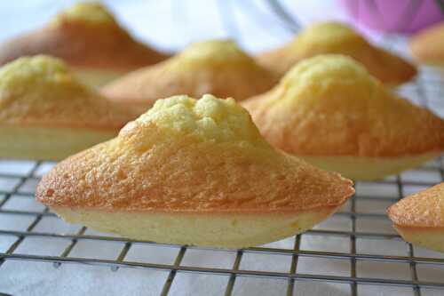 Madeleines au miel