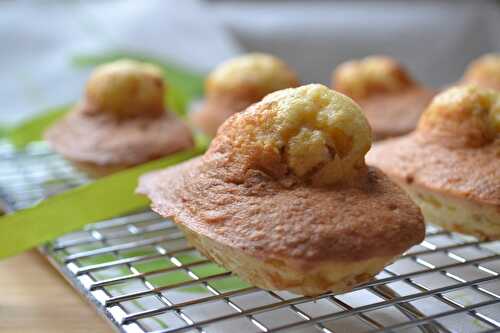 Madeleines au pralin maison