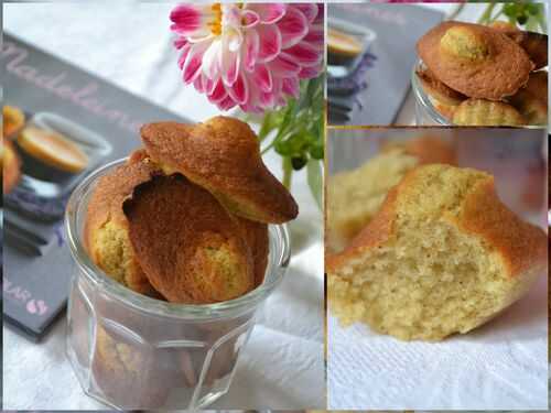 Madeleines aux épices