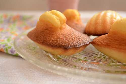 Madeleines aux épices