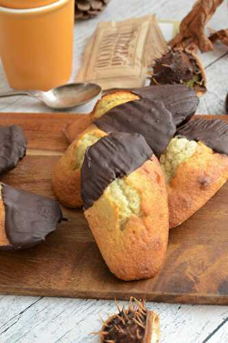 Madeleines farine de chataigne et chocolat