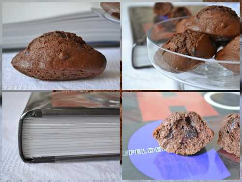 Madeleines tout chocolat