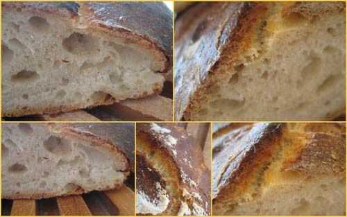 Pain au levain et au lait fermenté