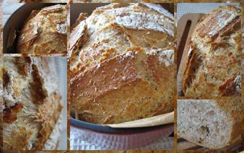 Pain au levain et au son de blé