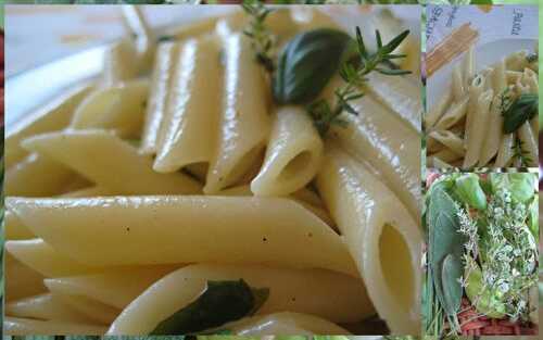 Penne in salsa aromatica