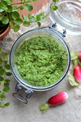 Pesto de fanes de radis