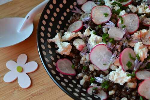 Salade de lentilles beluga, orge perlé, féta et radis