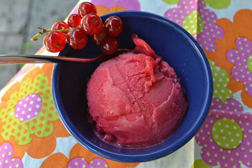 Sorbet  à la groseille