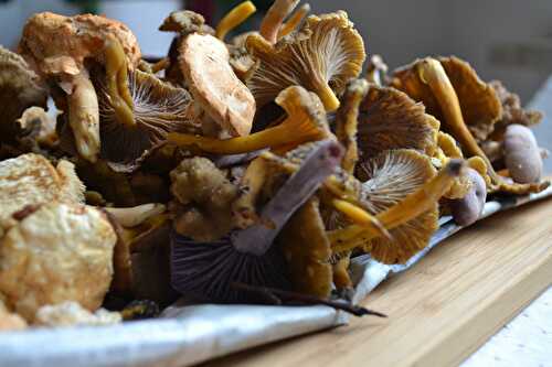 Tourte aux champignons des bois