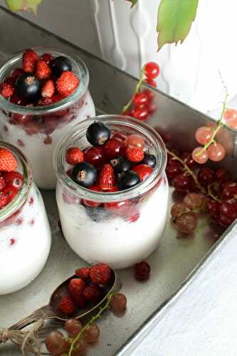 Panna Cotta au lait d'amande et fruits rouges