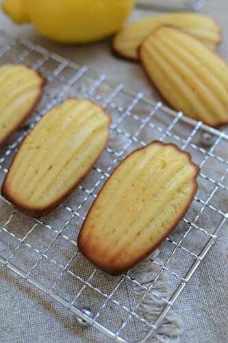 Madeleines citron miel