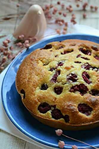 Gâteau coco framboises