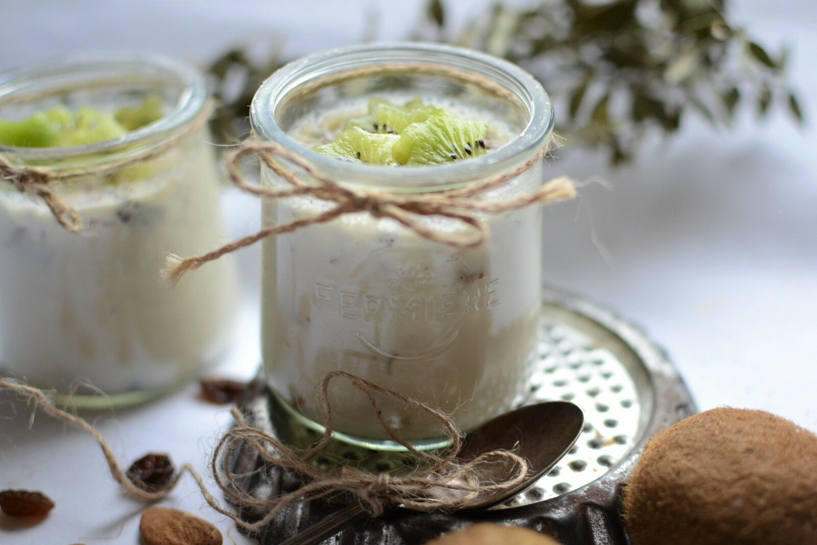 Panna cotta fruits secs citron et kiwi