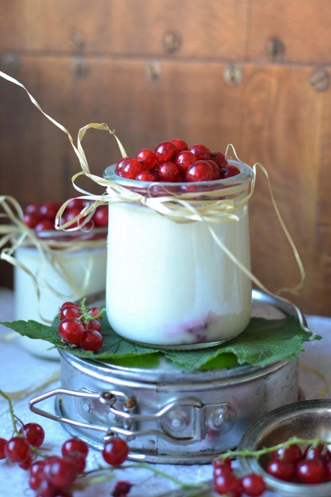 Panna cotta à la groseille