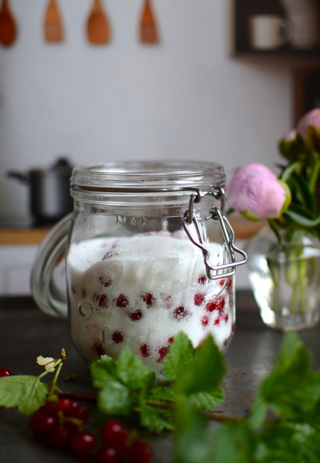 Koso de  groseilles rouges - sirop de groseilles rouges #végétal