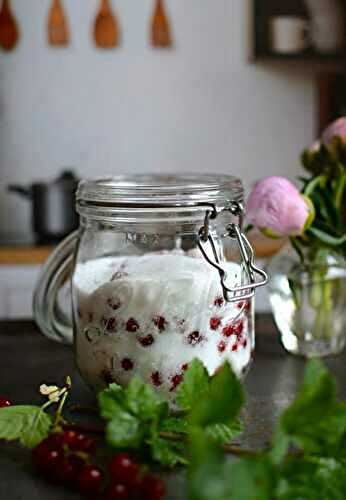 Koso de  groseilles rouges - sirop de groseilles rouges #végétal
