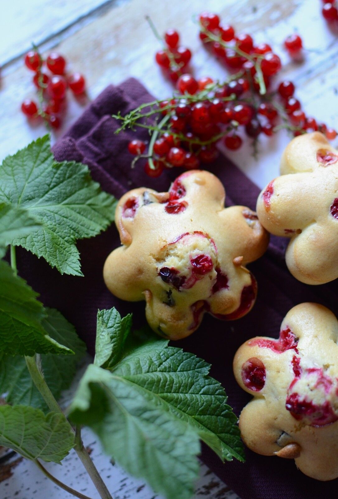 Petits gâteaux chocolat groseilles