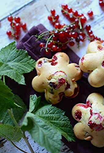 Petits gâteaux chocolat groseilles