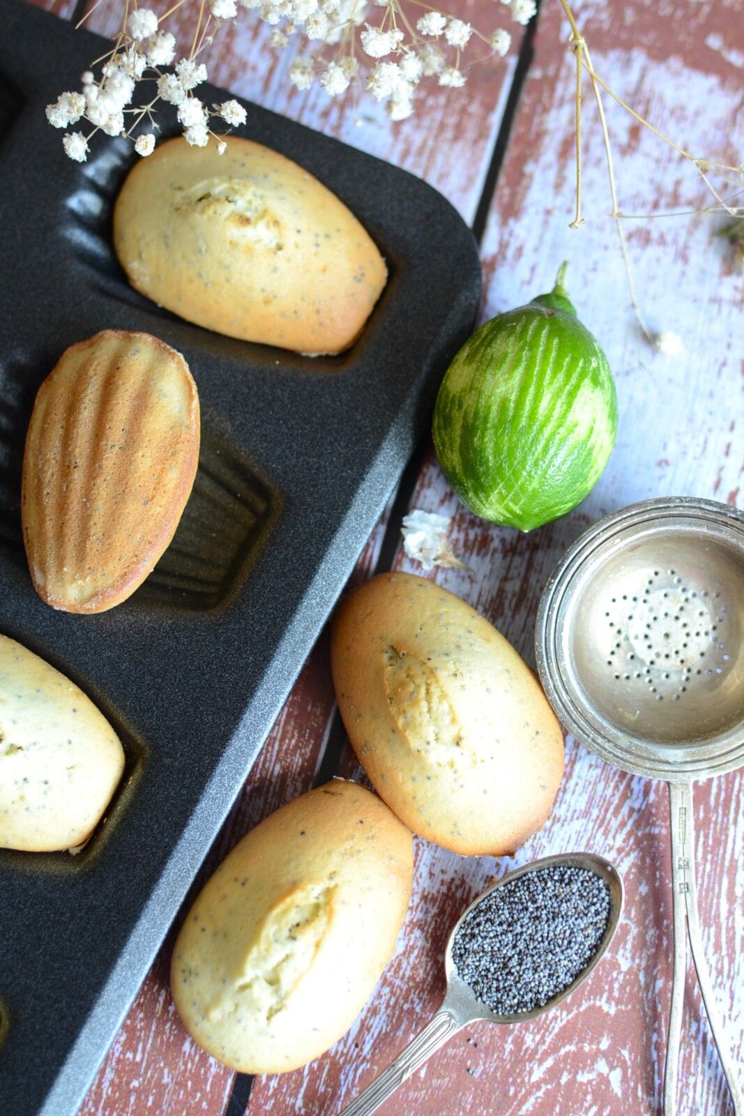 Madeleines citron vert pavot